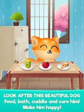 My Dog Shibo 2 – Virtual pet with Minigames截图4