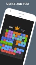 1010 Block Puzzle King截图4