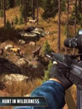 Animal Hunter : Jungle Sniper Shooting截图
