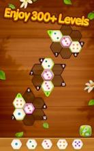 Number Puzzle Hexa截图3