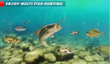 Ultimate Fishing Mania: Hook Fish Catching Games截图3