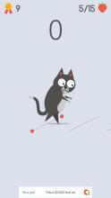 Cat Walking截图3