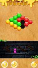 Block Hexa Puzzle Mania截图2