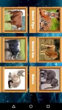 Animal Introducer 1截图1