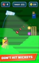 Mr. Bat: The Cricket Game截图3