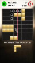 Symmetry Puzzle截图2