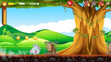 Rabbit Run Adventure截图2