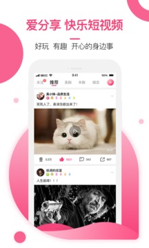 美胸匯截圖