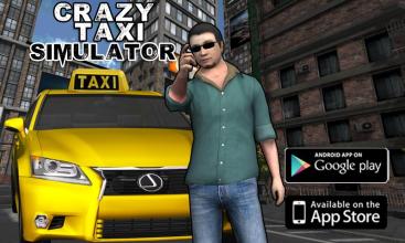 Taxi Simulator 3D截图1