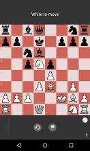 Chess Tactic Puzzles截图4