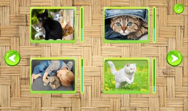 Cats Jigsaw Puzzles Game截图5