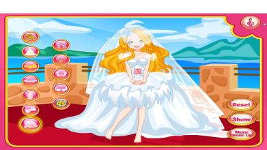 Princess Bride Wedding Dresses截图2