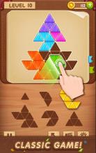 Block Puzzle : Jigsaw截图4