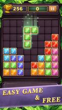 Jewels Block Puzzle Gems截图4