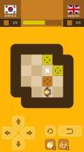 Push Maze Puzzle截图3