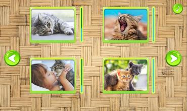 Cats Jigsaw Puzzles Game截图3