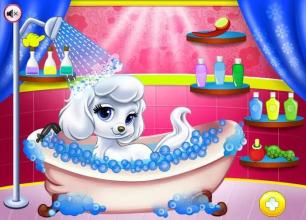 Princess Clean Pets Game截图2