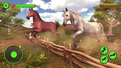 Virtual Wild Horse Family Sim : Animal Horse Games截图3