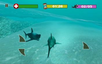 HUNGRY SHARK SIMULATOR ATTACK截图2