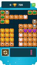 Block Puzzle Legend  Block Puzzle Classic截图1