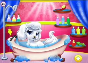 Princess Clean Pets Game截图3