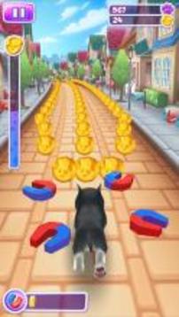 Pet Run - Puppy Dog Game截图
