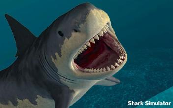 HUNGRY SHARK SIMULATOR ATTACK截图4