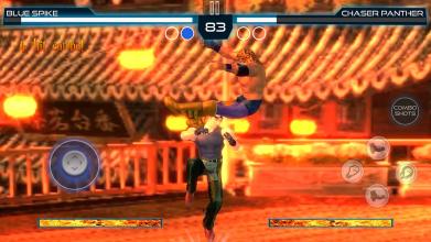 Tag Team Terra Kung Fu Wrestling PvP Fighting Star截图2