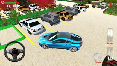 Car Parkg 3D Ral Drvg mulatr截图3