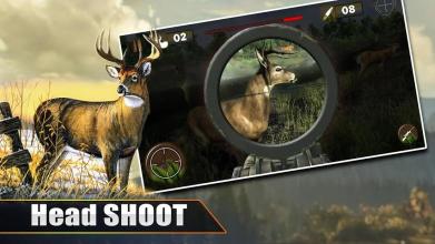 Deer Hunting 2019截图2