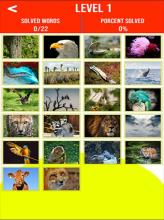 Learn animals name with animals quiz game截图4