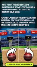 Flick Spinner Cricket 3D截图1