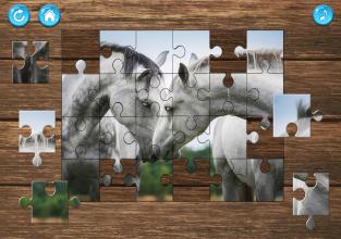 Horse Puzzle Game截图2