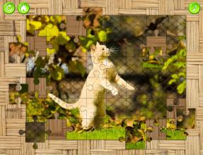 Cats Jigsaw Puzzles Game截图2