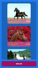 Horse Puzzle Games for Girls截图1