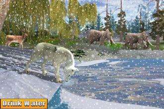 Arctic Wolf Family Simulator截图4