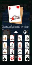 Solitaire - Card Collection截图2