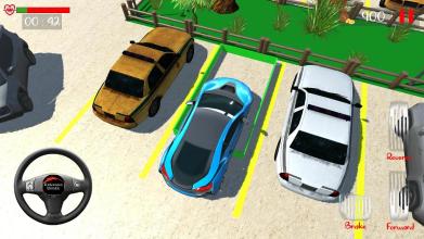 Car Parkg 3D Ral Drvg mulatr截图1