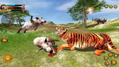 Wild Tiger Simulator 3d animal games截图2