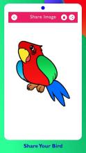 Birds Coloring Games截图1