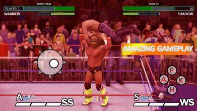 World Tag Team RowdyWrestling Revolution Fighting截图2