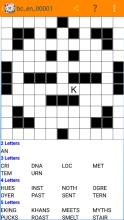 Fill in crosswords Puzzles截图3