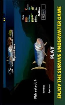Feed And Grow : Fish Simulator截图