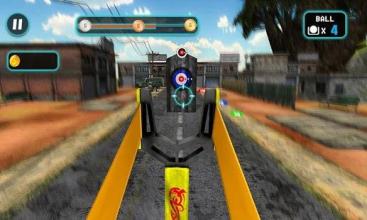 Slingshot Bird Hunt 3D Shooting Range Fun Game截图1