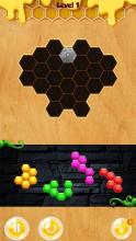 Block Hexa Puzzle Mania截图3