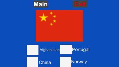 Info Game Flags截图5