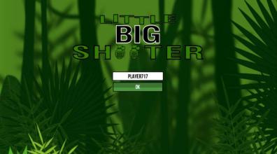 Little Big Shooter截图5