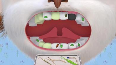 The Barkers Doctor Dentist截图1