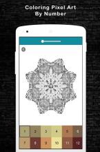 Coloring Mandala Pixel By Number 2018截图3