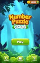 Number Puzzle Hexa截图1